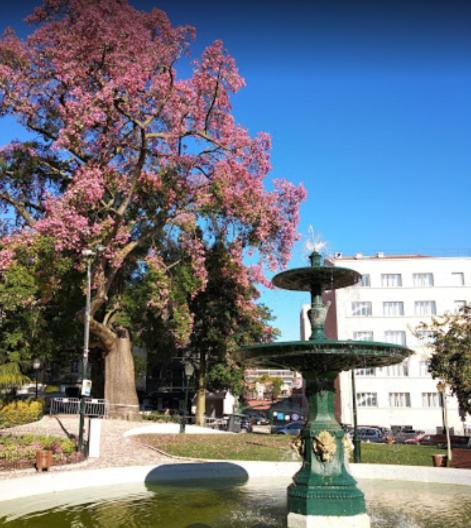 Alegramente Apartment Lisbon Bagian luar foto