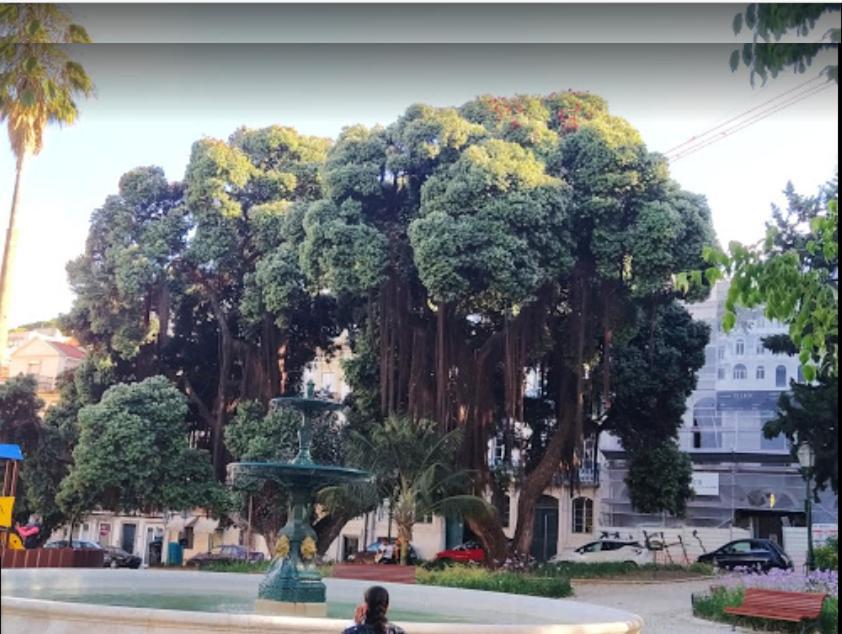 Alegramente Apartment Lisbon Bagian luar foto